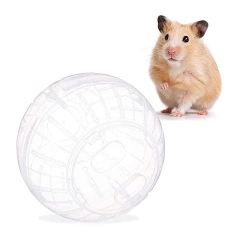  roulette hamster